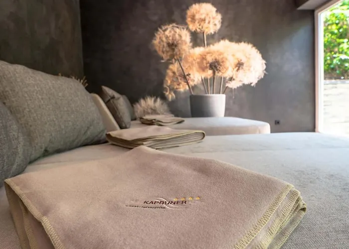 酒店 卡普轮奈霍夫酒店 卡普伦